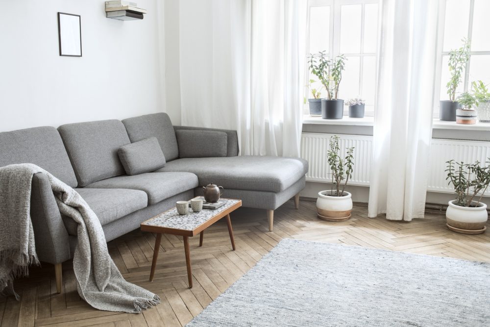 Stylish composition of creative spacious living room interior with sofa. Template.
