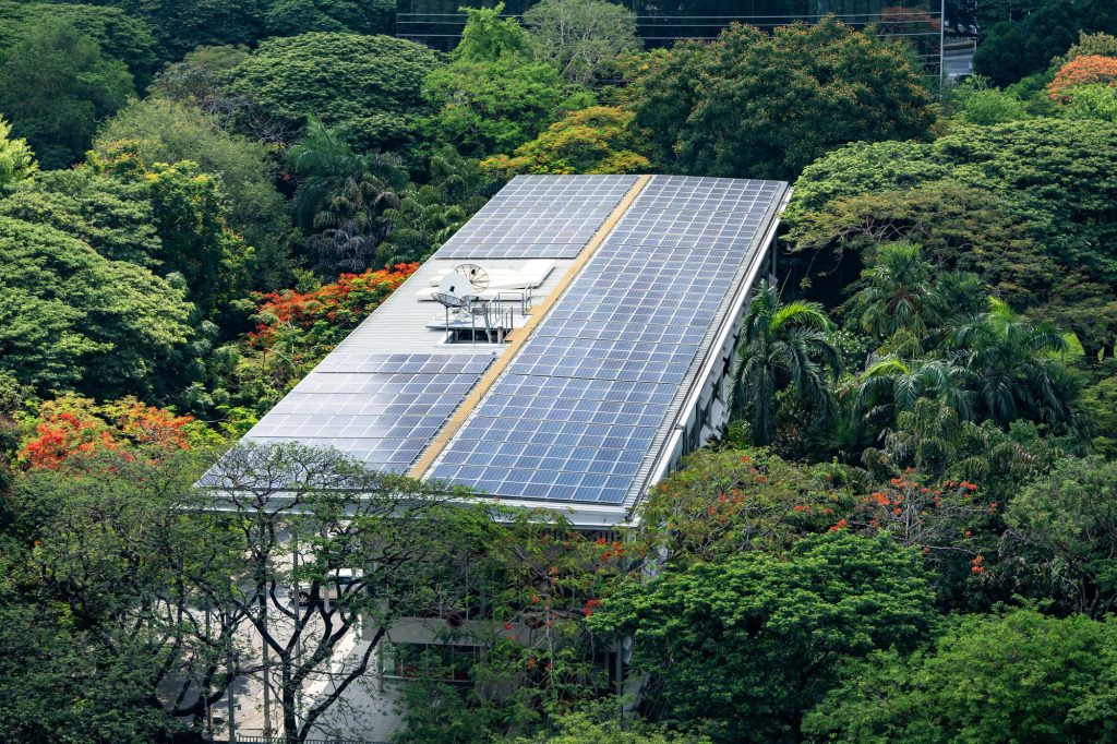 Solar vs. Wind: Which is Right for Your Business?
