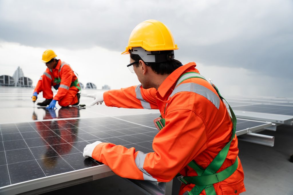 Building a Green Brand: 5 Steps to Start Strong